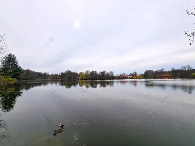 Prodej rodinného domu, Svojšice, 93 m2