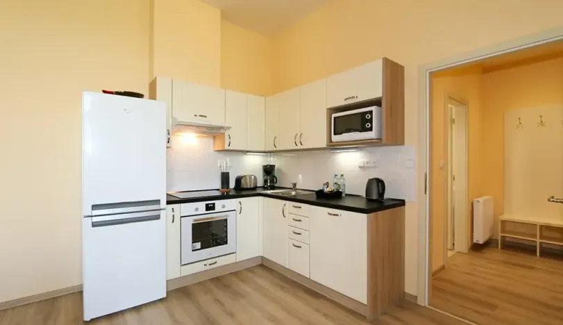 Pronájem bytu 3+kk, Praha - Vinohrady, Máchova, 63 m2