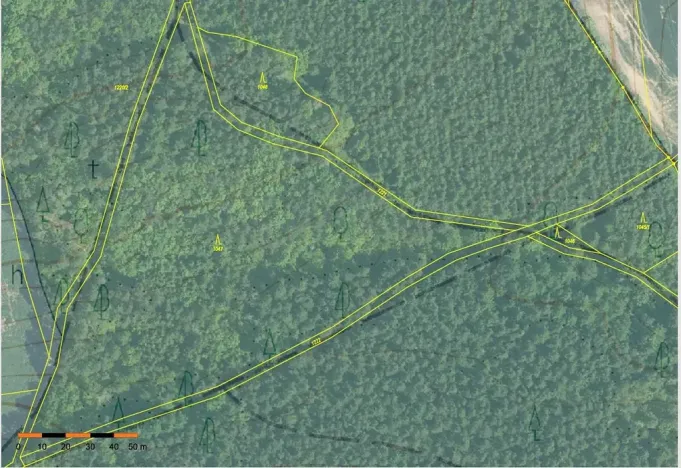 Prodej lesa, Probulov, 3017 m2