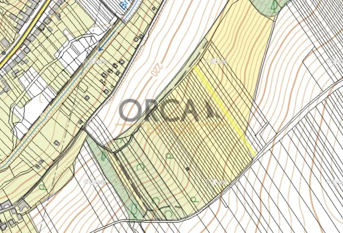 Prodej louky, Březolupy, 1729 m2