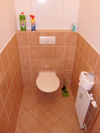 Pronájem bytu 2+kk, Vysoké Mýto - Pražské Předměstí, Mánesova, 66 m2