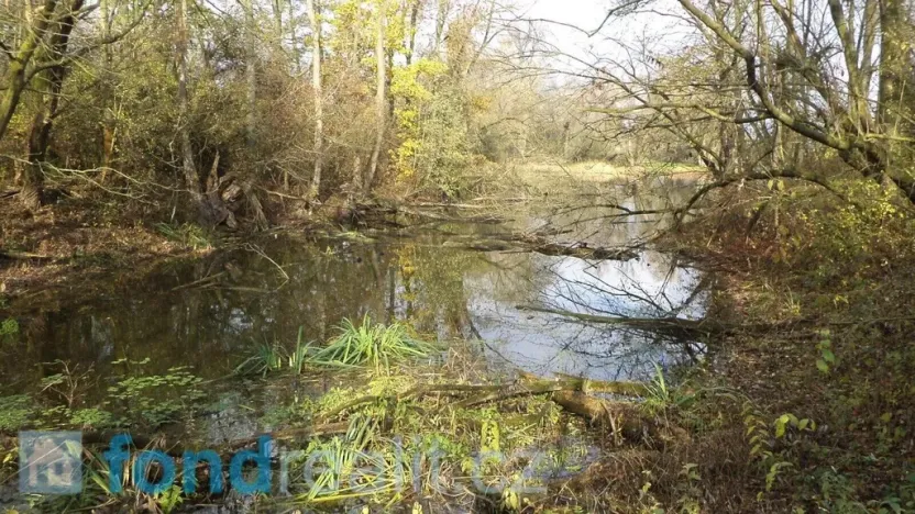 Prodej pozemku, Otrokovice, 810 m2