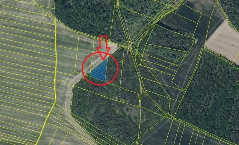 Prodej lesa, Budyně nad Ohří, 3677 m2