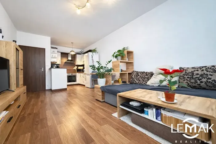 Pronájem bytu 2+kk, Olomouc, Aloise Rašína, 52 m2