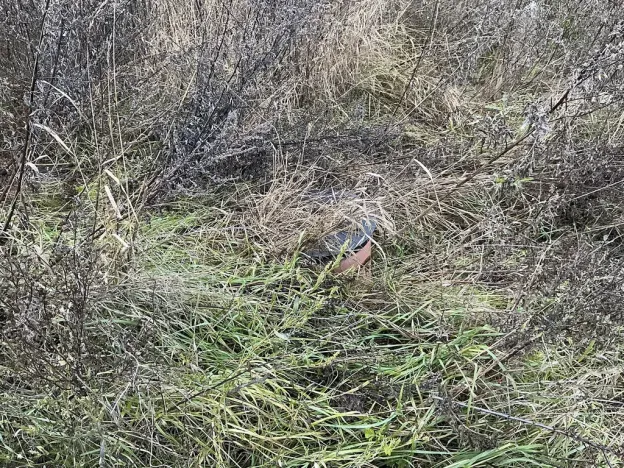Prodej pozemku pro bydlení, Hřebeč, Zátopkova, 815 m2