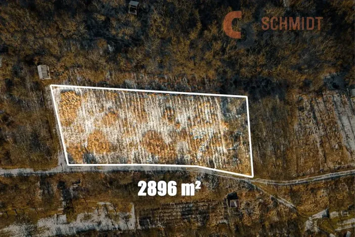 Prodej sadu/vinice, Hustopeče, 2896 m2