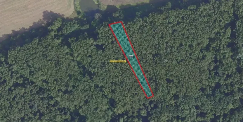 Prodej lesa, Přerov nad Labem, 2974 m2