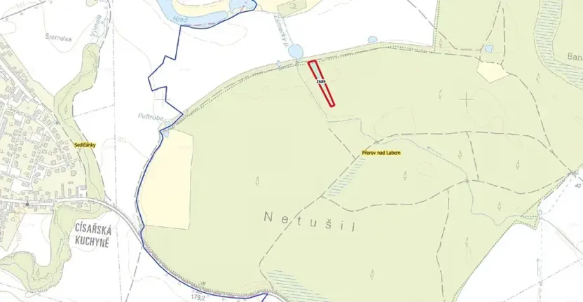 Prodej lesa, Přerov nad Labem, 2974 m2