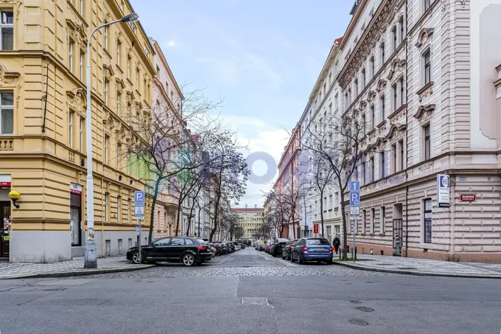 Pronájem bytu 2+1, Praha - Vinohrady, Moravská, 126 m2