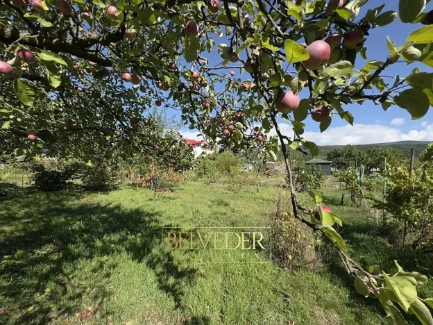 Prodej zahrady, Dubí, B. Němcové, 312 m2