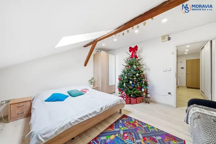 Prodej bytu 1+1, Olomouc, Javoříčská, 54 m2