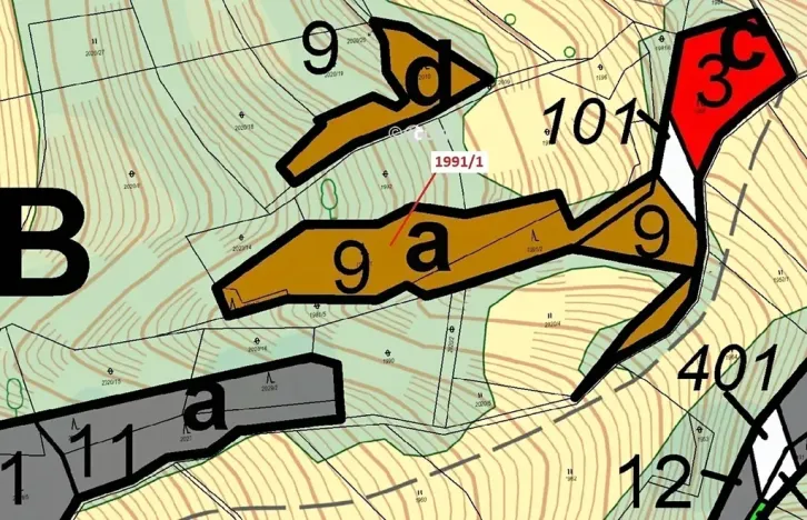 Dražba lesa, Hovězí, 2438 m2