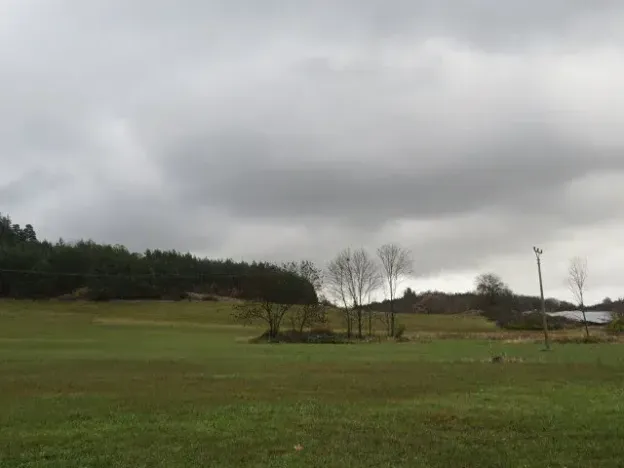 Dražba pole, Mochtín, 38121 m2