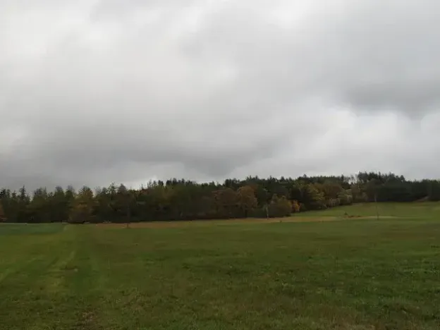 Dražba pole, Mochtín, 38121 m2