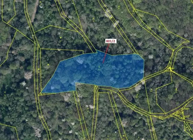 Dražba lesa, Zubrnice, 8765 m2