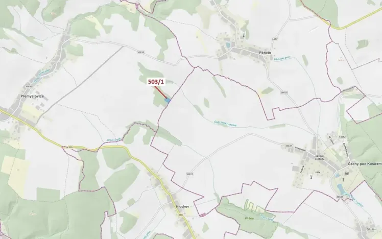 Dražba lesa, Přemyslovice, 7049 m2