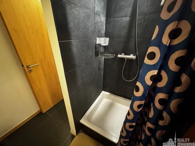 Pronájem bytu 2+kk, Praha - Vinohrady, Korunní, 50 m2