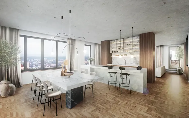 Prodej bytu 5+kk, Brno, Křenová, 267 m2