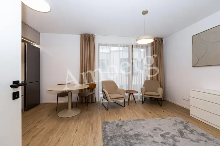 Pronájem bytu 1+kk, Praha - Karlín, Křižíkova, 32 m2