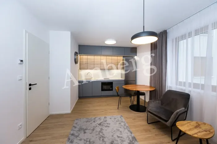 Pronájem bytu 1+kk, Praha - Karlín, Křižíkova, 32 m2