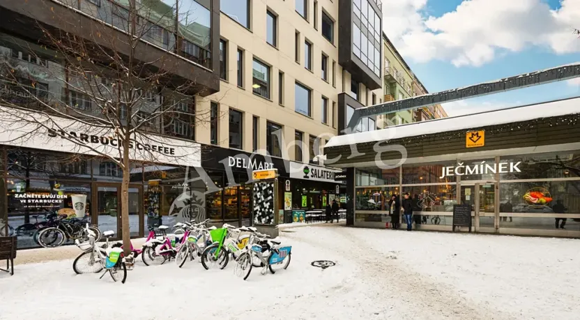 Pronájem bytu 1+kk, Praha - Karlín, Křižíkova, 32 m2