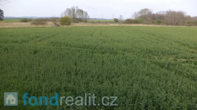 Prodej pole, Žíšov, 3467 m2