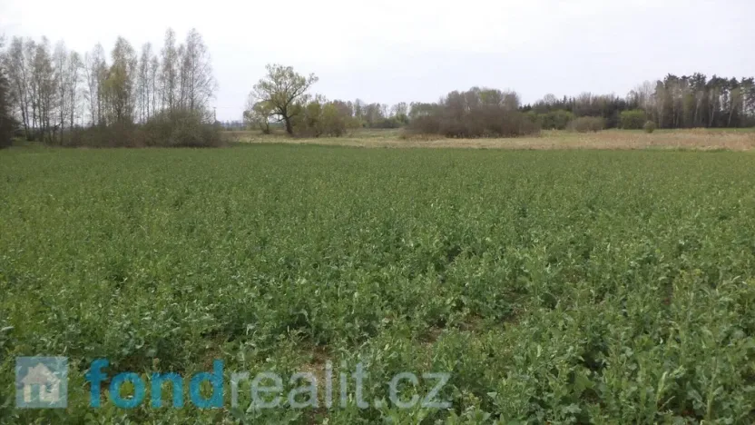 Prodej pole, Žíšov, 3467 m2