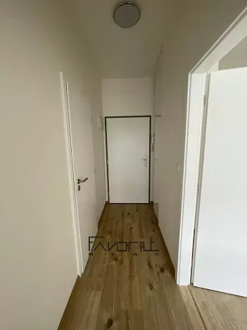 Pronájem bytu 2+kk, Ostrava, Hasičská, 153 m2