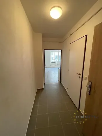 Pronájem bytu 1+kk, Praha - Nusle, Žateckých, 29 m2