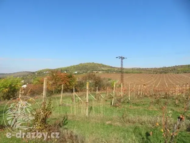Dražba sadu/vinice, Velké Žernoseky, 2775 m2