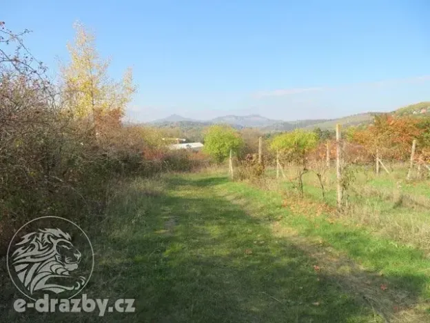 Dražba sadu/vinice, Velké Žernoseky, 2775 m2