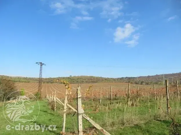 Dražba sadu/vinice, Velké Žernoseky, 2775 m2