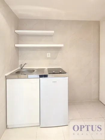 Pronájem bytu 1+kk, Praha - Podolí, Levá, 25 m2