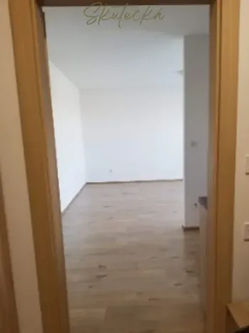 Pronájem bytu 1+kk, Hodonín, 45 m2