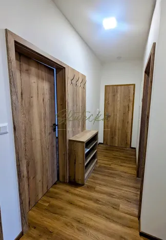 Pronájem bytu 3+kk, Hodonín, 150 m2