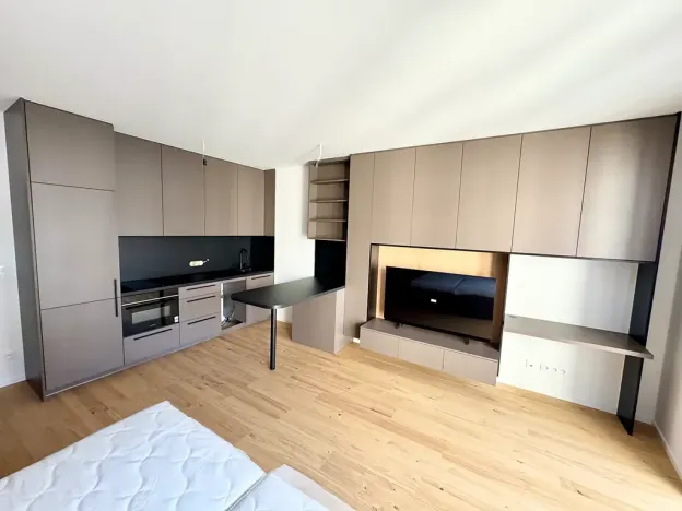 Pronájem bytu 1+kk, Brno, Bratislavská, 38 m2