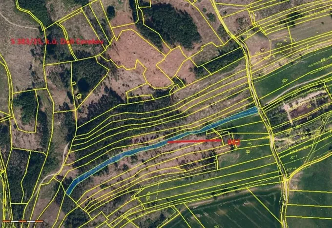 Prodej podílu lesa, Dolní Cerekev, 11817 m2