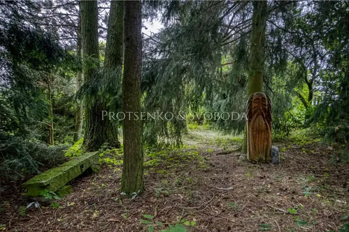 Prodej rodinného domu, Pavlov, 354 m2