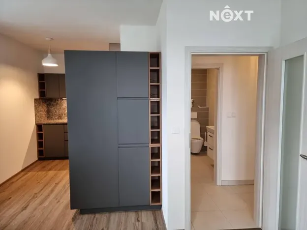 Pronájem bytu 2+kk, Praha - Sobín, Želetická, 126 m2