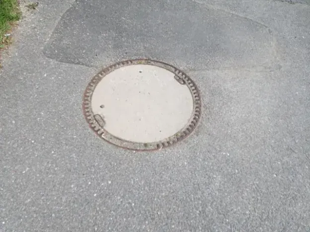 Dražba pole, Niva, 7239 m2