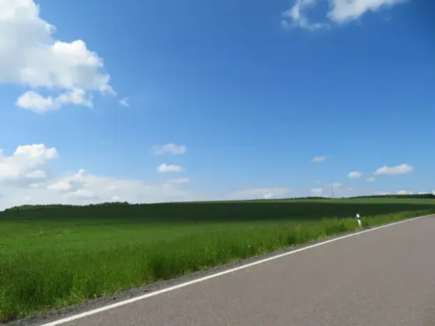 Dražba pole, Niva, 7239 m2