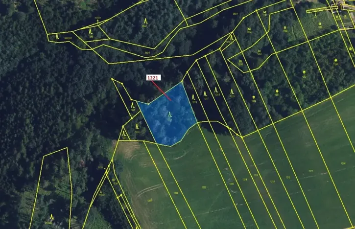 Dražba lesa, Spešov, 1590 m2