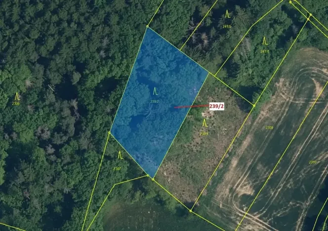 Dražba lesa, Jenišovice, 2305 m2