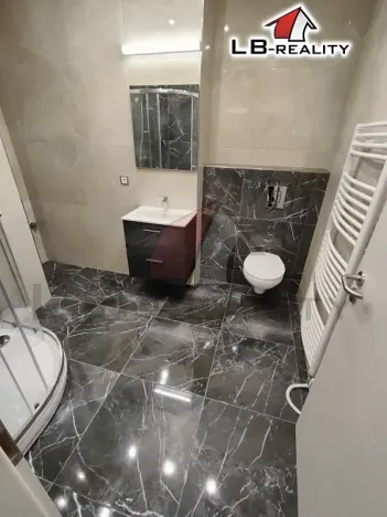 Pronájem bytu 2+kk, Kolín, Politických vězňů, 45 m2