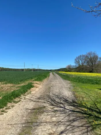 Prodej pozemku pro bydlení, Hamr na Jezeře, 1015 m2