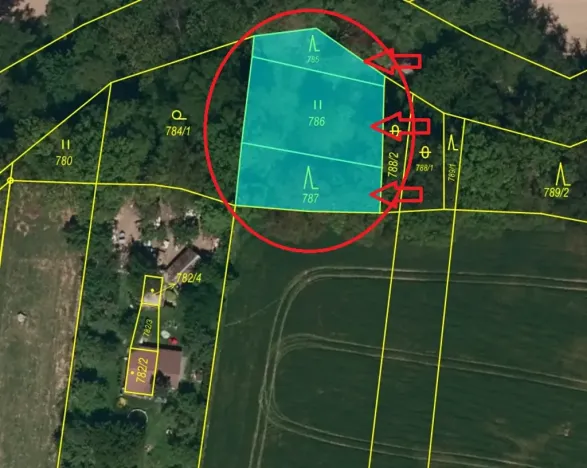 Prodej lesa, Dolní Životice, 2675 m2