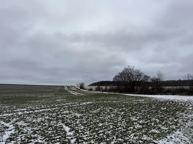 Dražba pole, Vyškov, 89174 m2