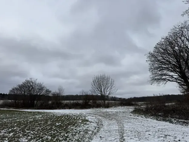 Dražba pole, Vyškov, 89174 m2