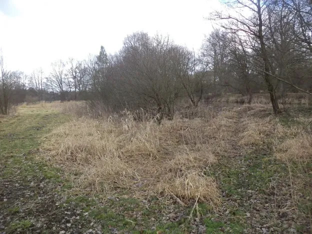 Prodej pozemku, Novosedly nad Nežárkou, 6591 m2