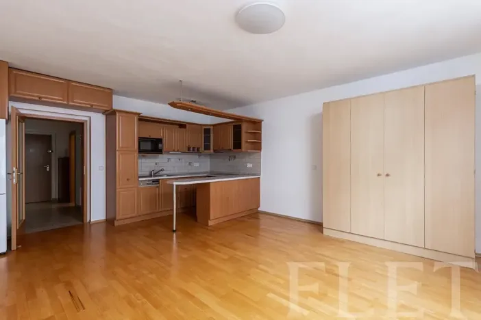 Pronájem bytu 1+kk, Praha - Michle, Jemnická, 39 m2